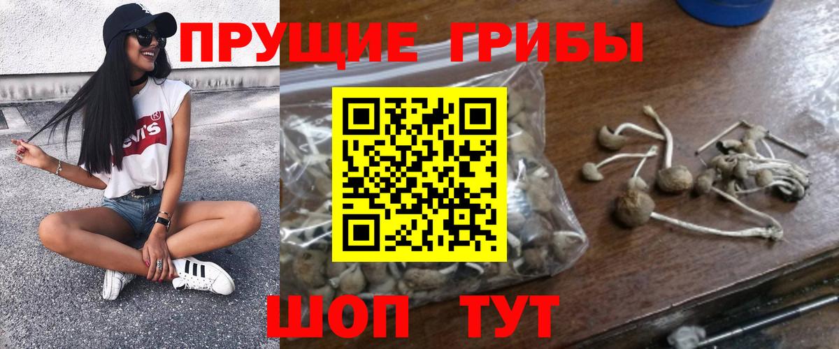 Галлюциногенные грибы мицелий  Вход с VPN  Можайск 